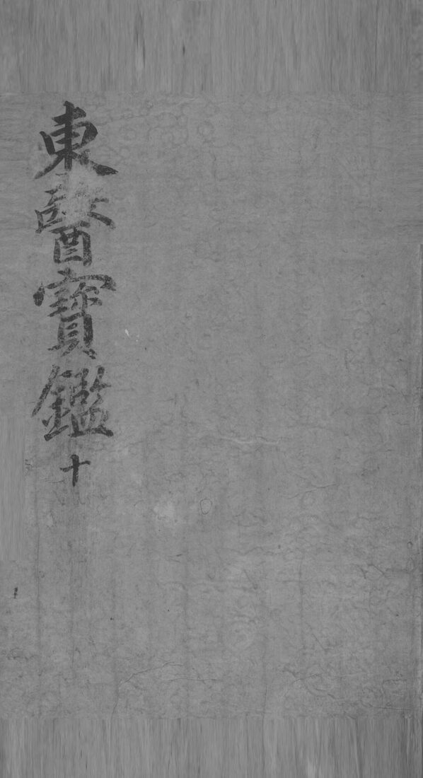 东医宝鉴  10 封面