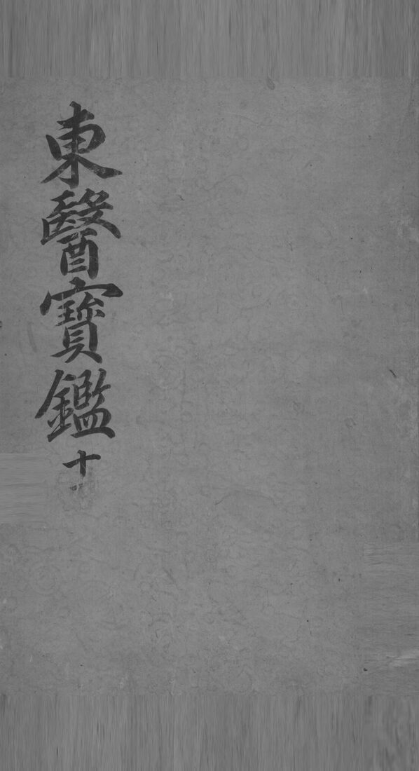 东医宝鉴  11 封面