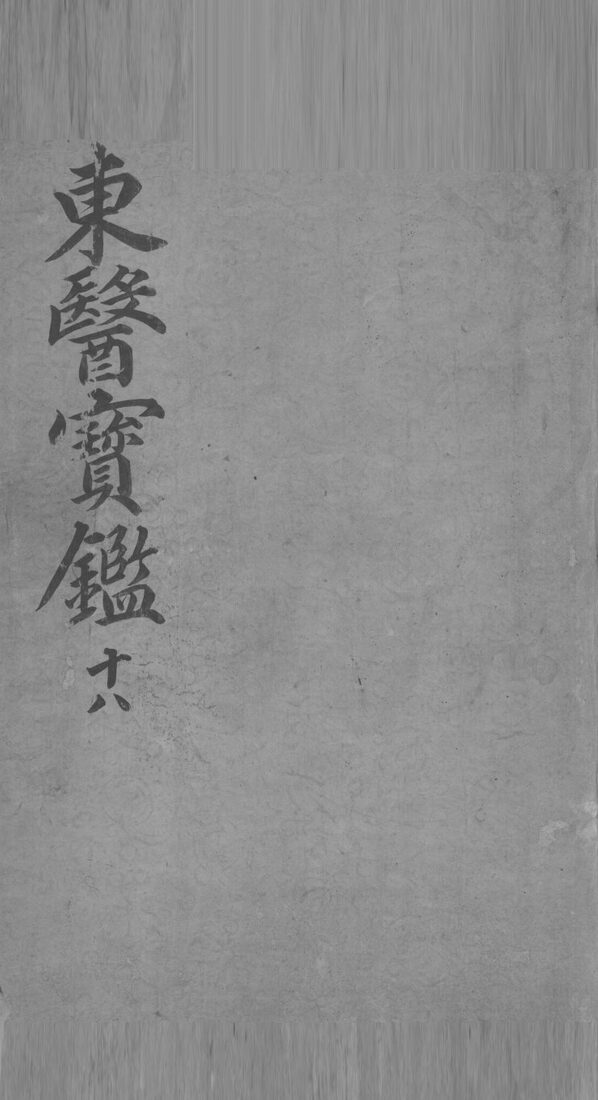 东医宝鉴  18 封面