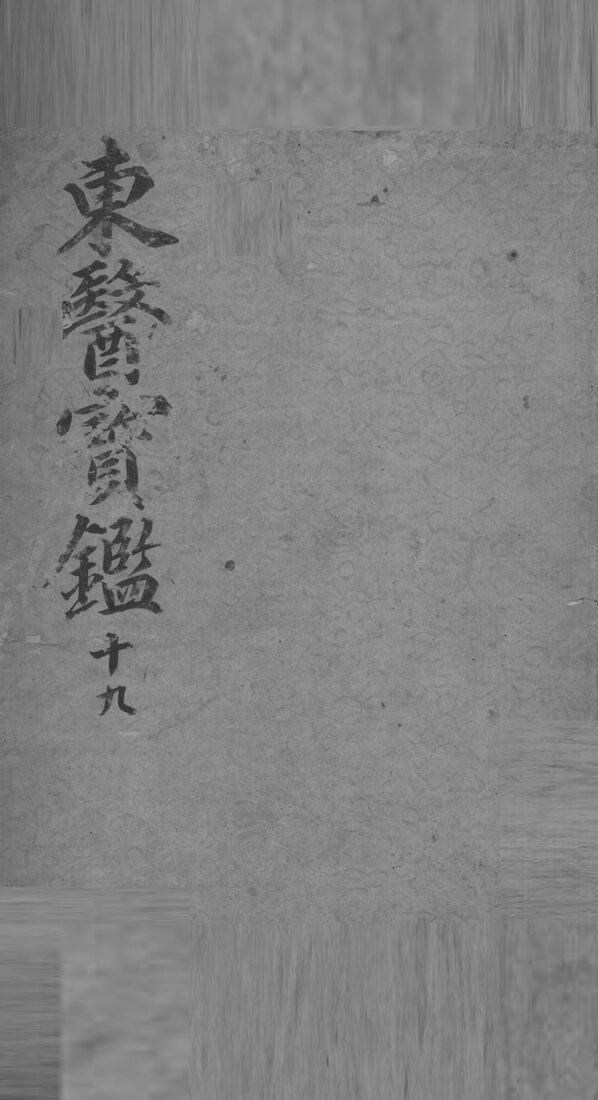 东医宝鉴  19 封面