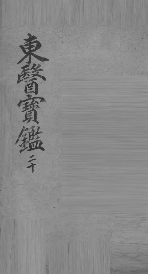 东医宝鉴  20 封面