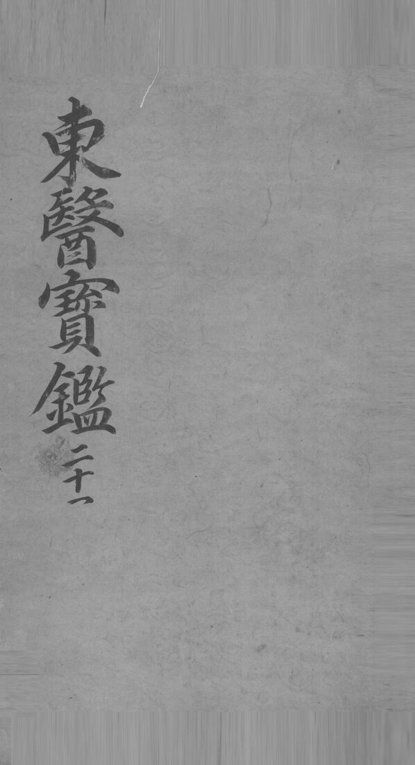 东医宝鉴  21 封面