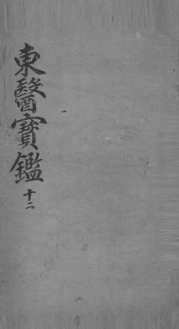 东医宝鉴  12 封面