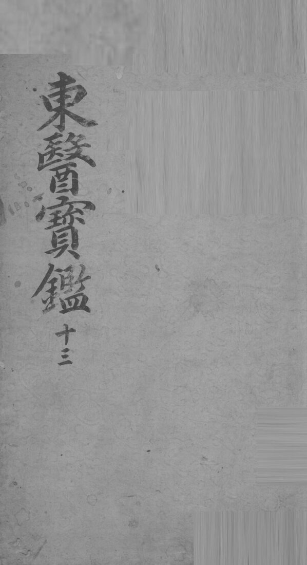 东医宝鉴  13 封面