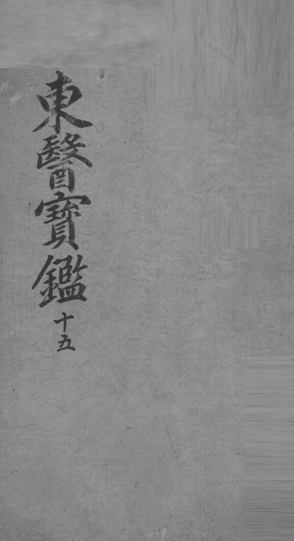 东医宝鉴  17 封面
