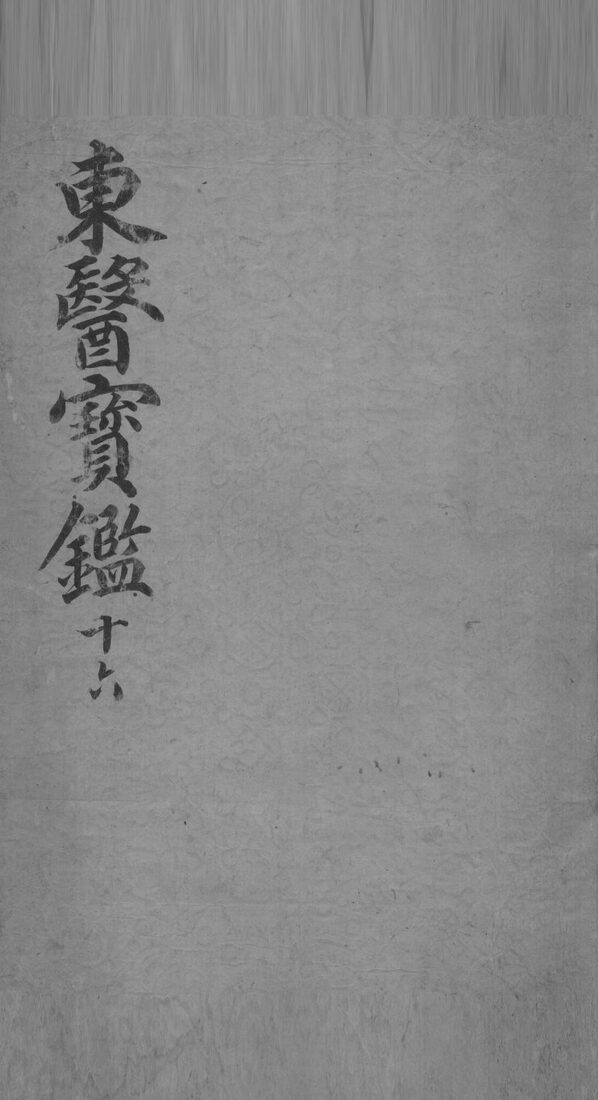 东医宝鉴  16 封面