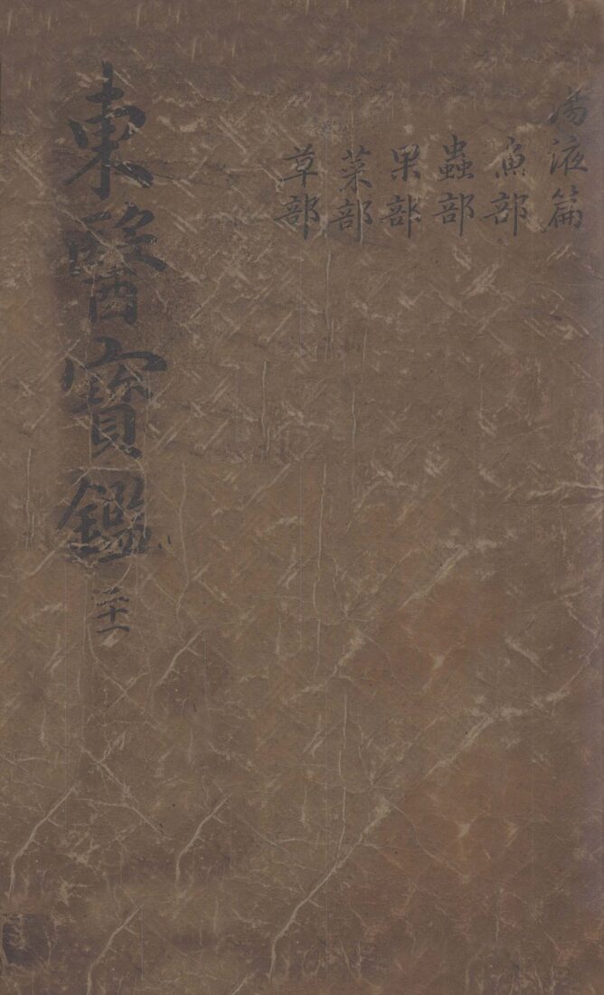东医宝鉴  2  21 封面