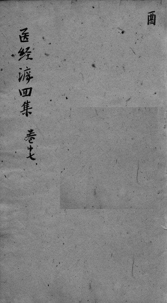 东垣十书  卷17 封面