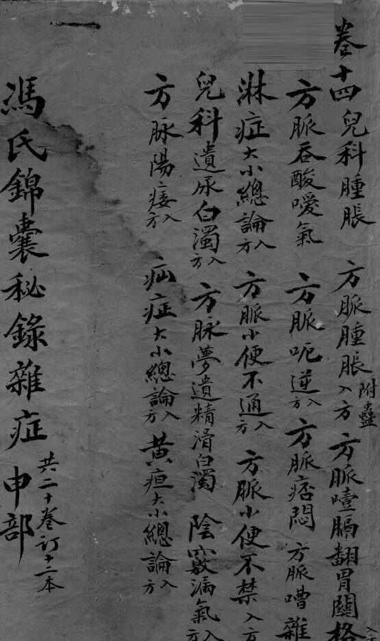 冯氏锦囊秘录  卷14 封面