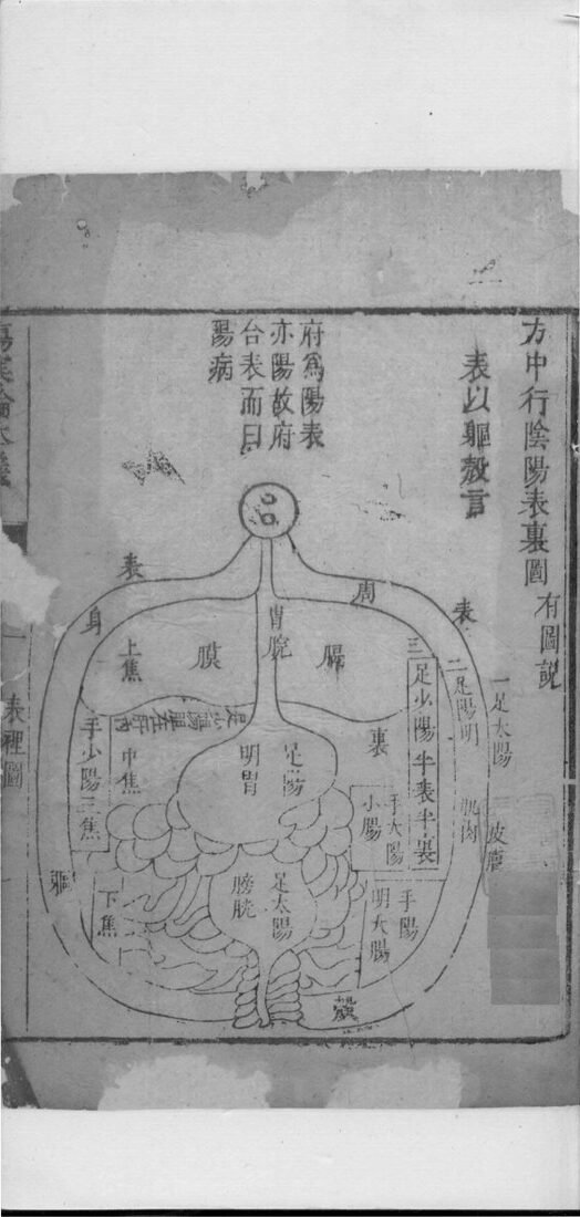 伤寒论本义  卷1 封面