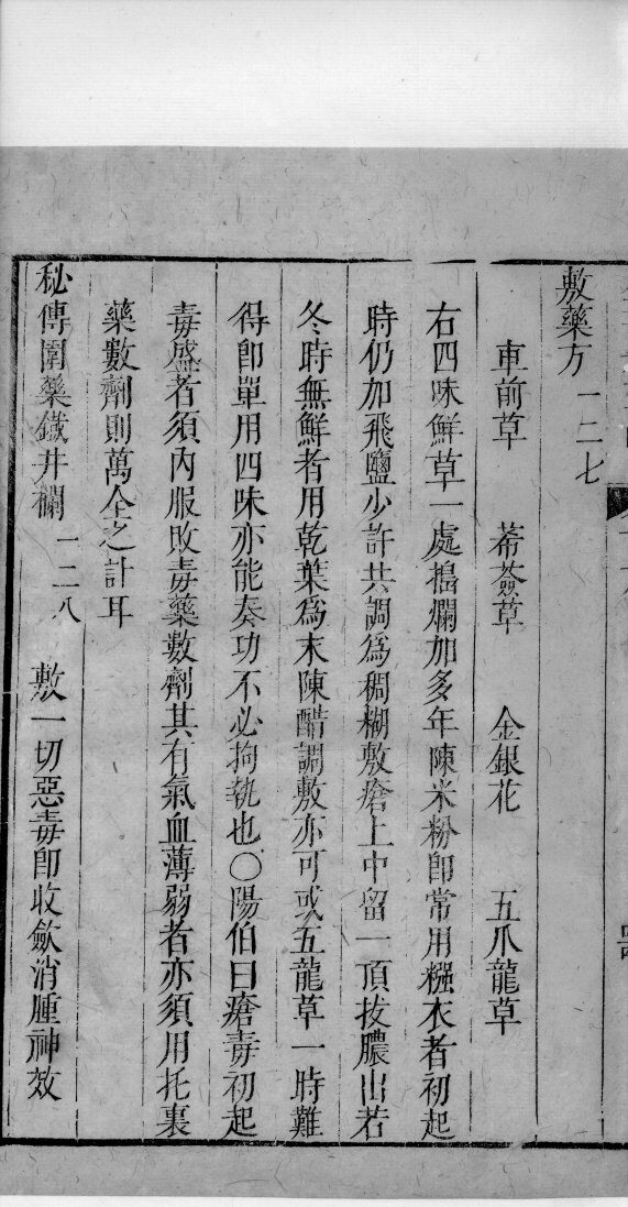 景岳全书  122 封面