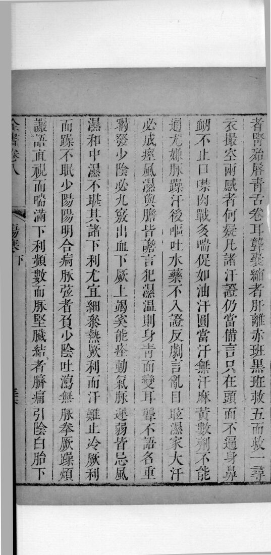 景岳全书  16 封面