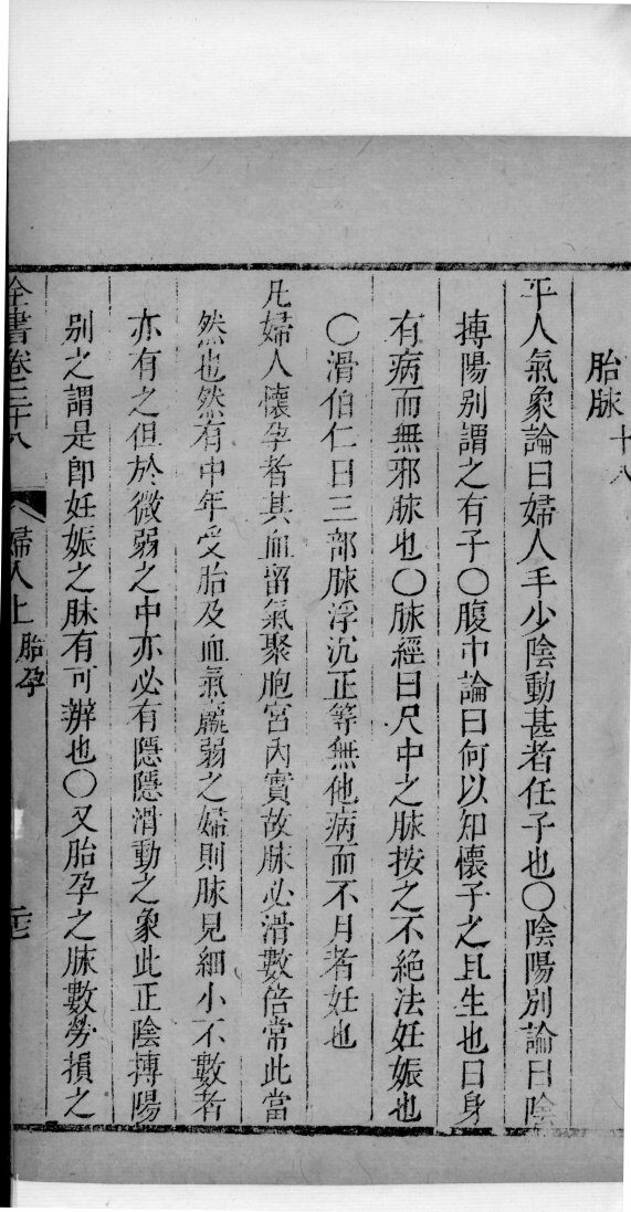 景岳全书  57 封面