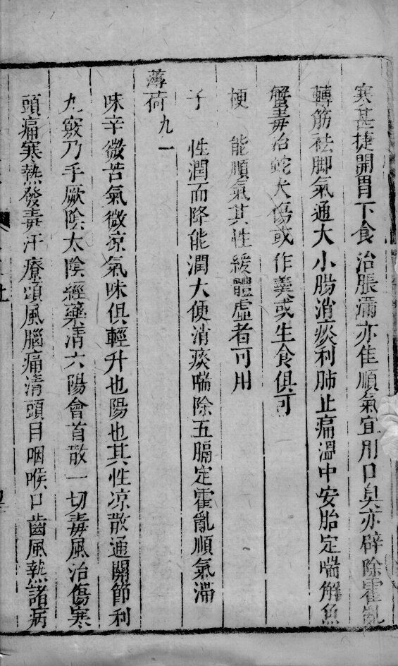 景岳全书  81 封面