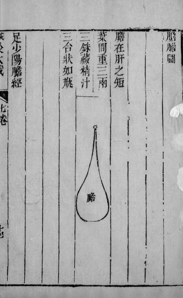 针灸大成  17 封面