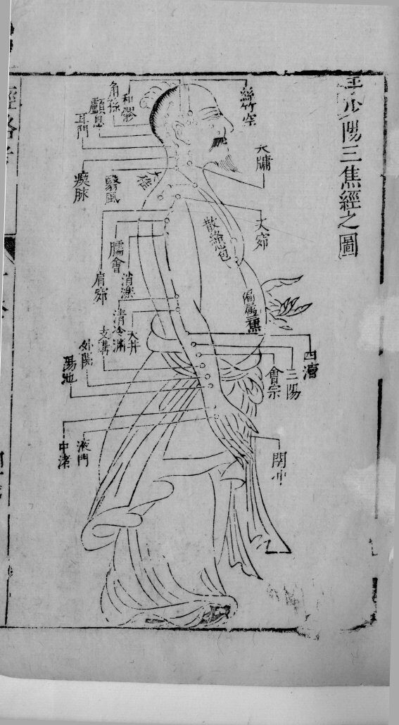 医学准绳六要  55 封面