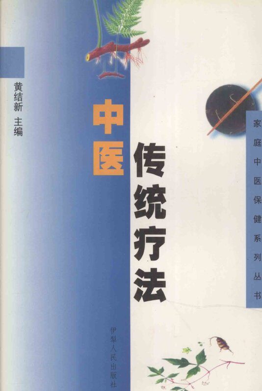 中医传统疗法 封面