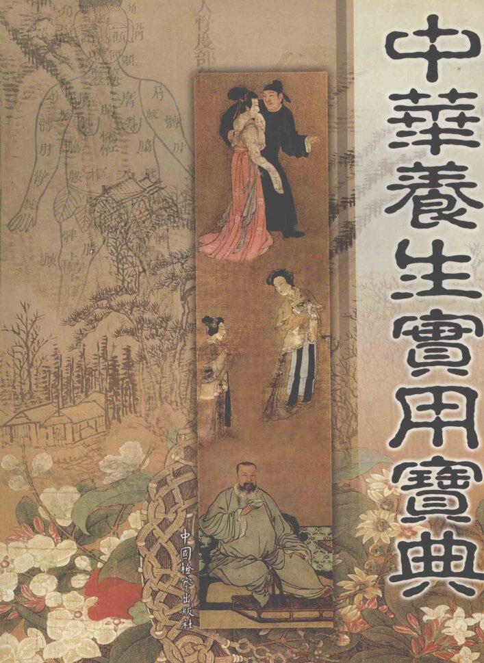 中华养生实用宝典  上 封面