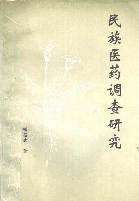 民族医药调查研究 封面