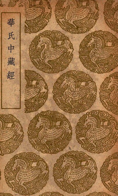 华氏中藏经 封面