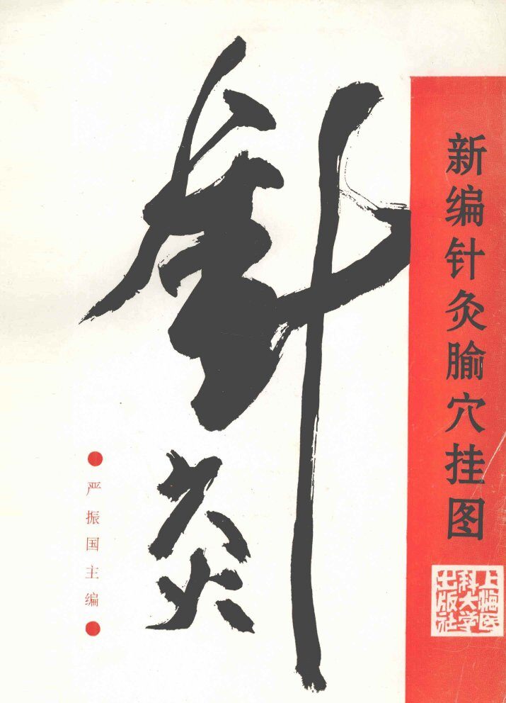 新编针灸腧穴挂图 封面