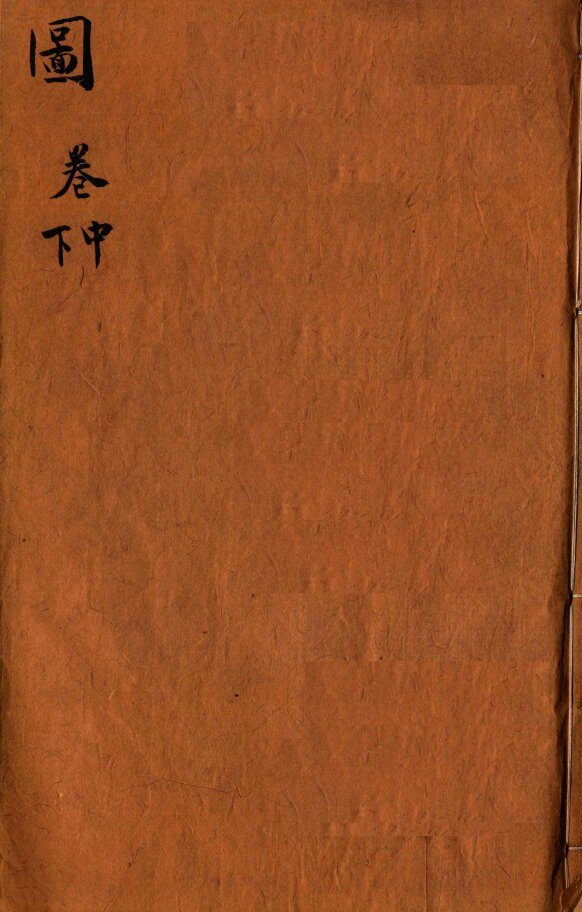 本草纲目（图）  中、下 封面