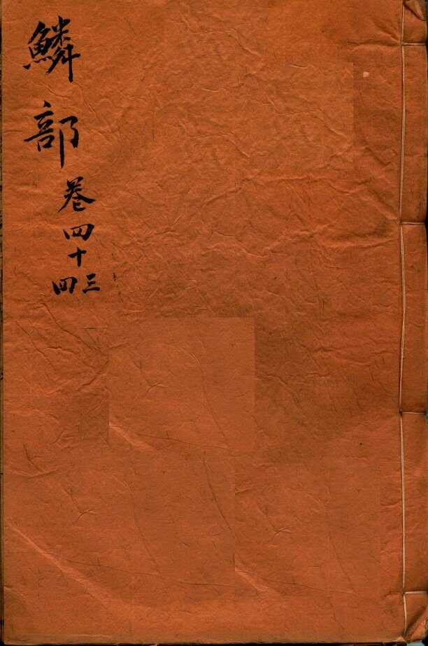 本草纲目（鳞部）  卷43-44 封面