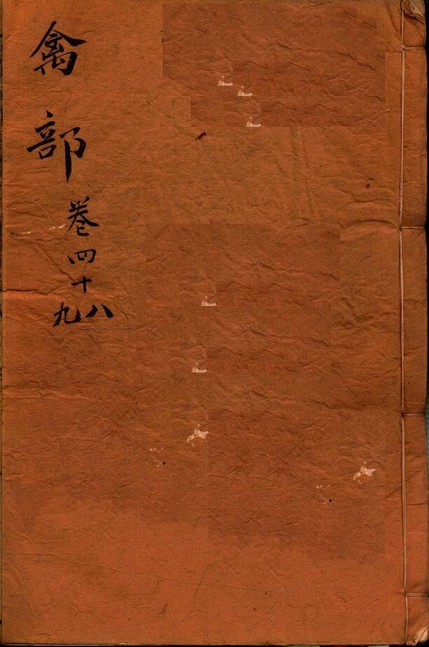 本草纲目（禽部）  卷48-49 封面