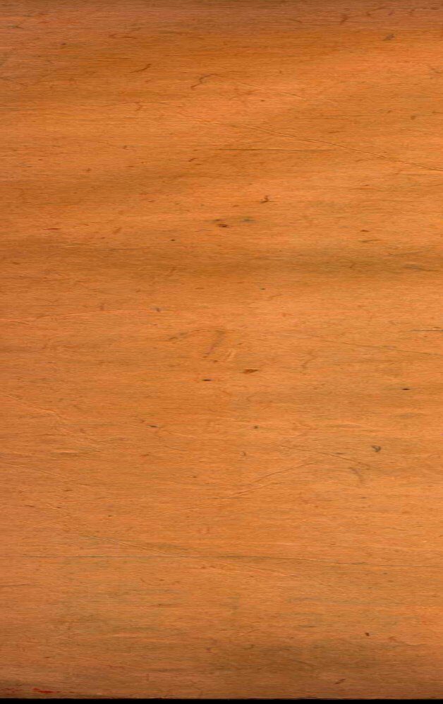 本草纲目（兽部）  卷50上-50下 封面