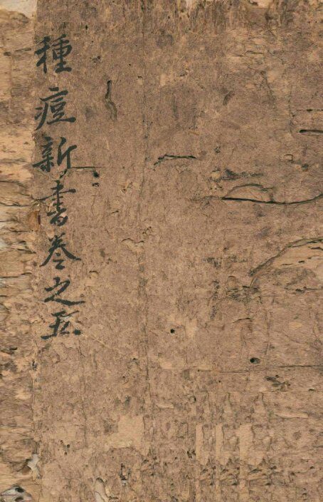 种痘新书  卷之5 封面