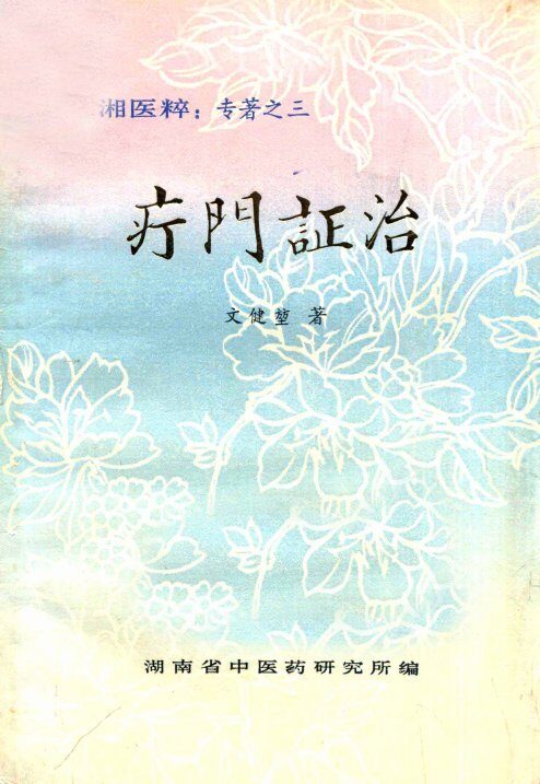 疔门证治 封面