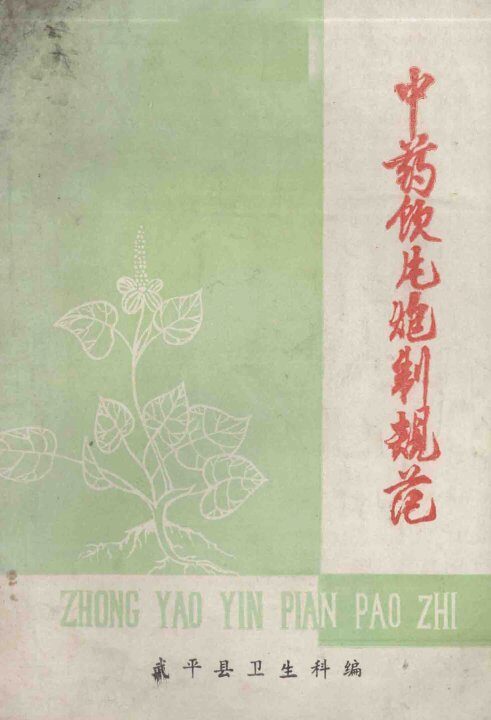 中药饮片炮制规范 封面