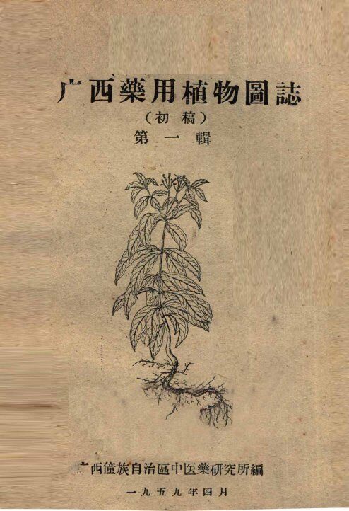 广西药用植物图志  初稿  第1辑 封面