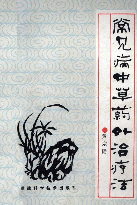 常见病中草药外治疗法 封面