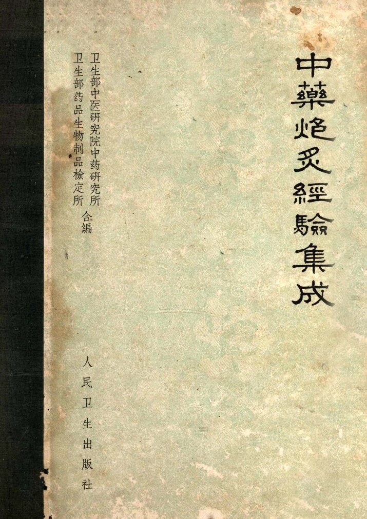中药炮炙经验集成 封面