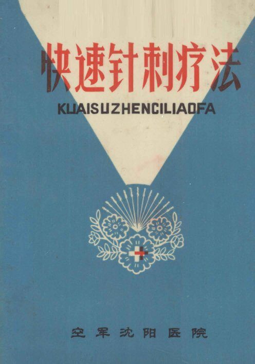 快速针刺疗法 封面