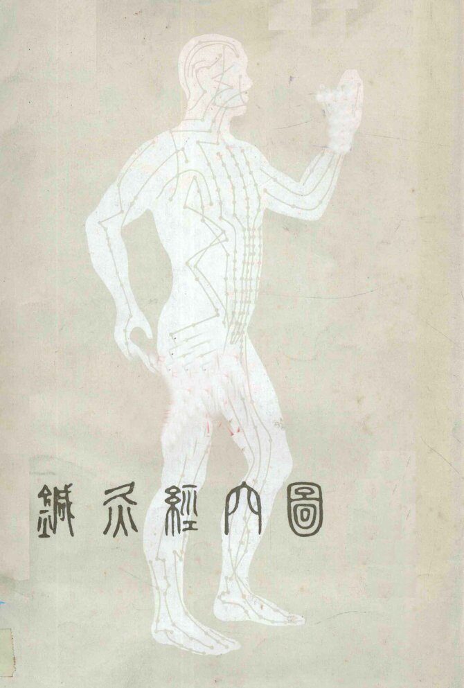 针灸经穴图  第2版  中文版说明书 封面