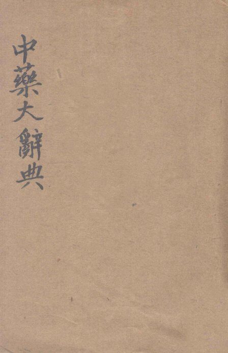 中药大辞典 封面