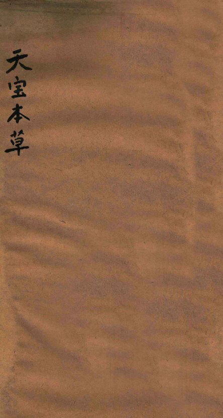 天宝本草 封面