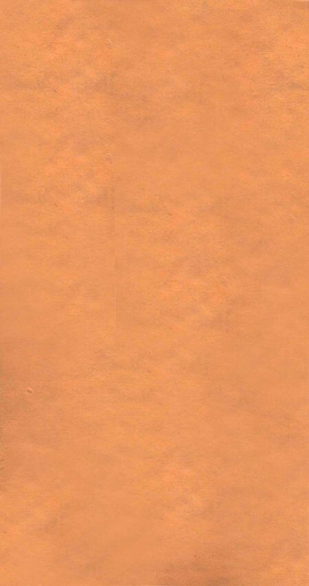金匮要略浅注  卷1 封面