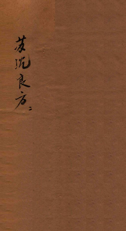 苏沈良方  卷6-8  附苏沈良方拾遗 封面