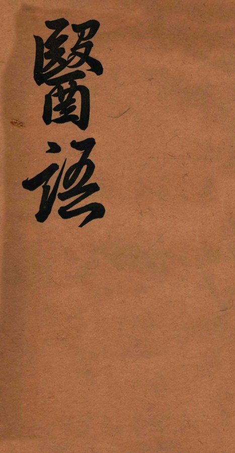 嬾园医话  卷2 封面