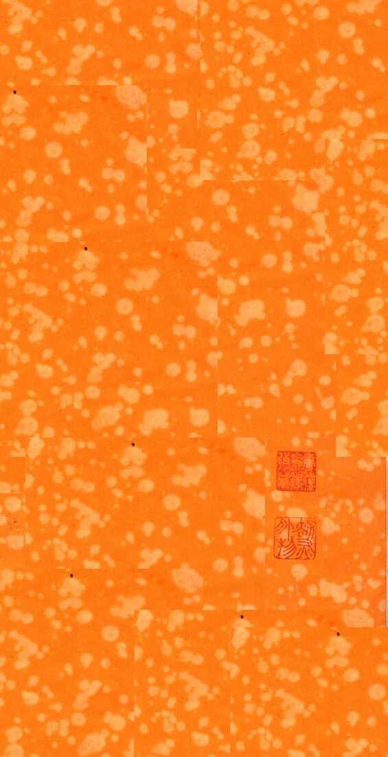 本草从新  卷12-18 封面