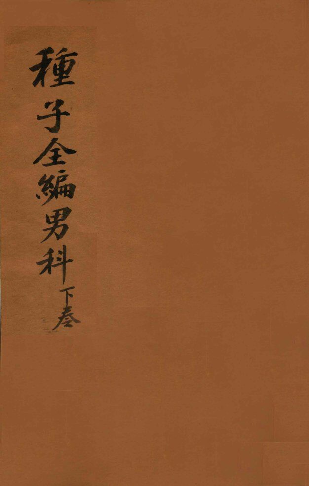 妙一斋医学正印种子编  男科  下 封面
