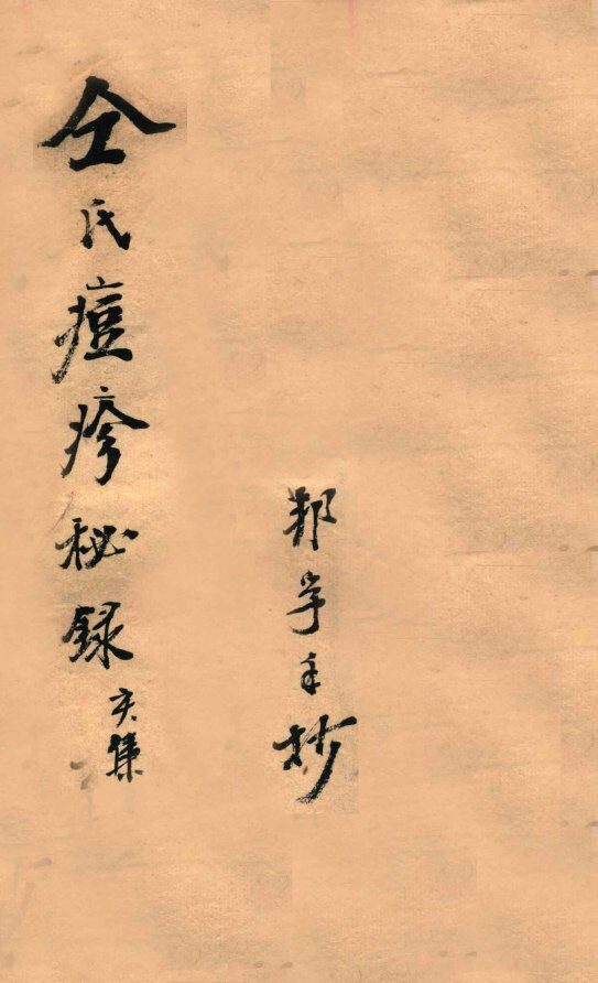 仝氏家藏痘疹秘录  亥 封面