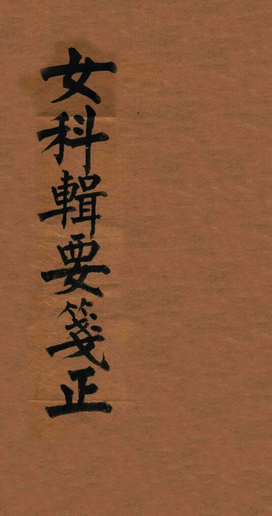 沈氏女科辑要笺  下 封面
