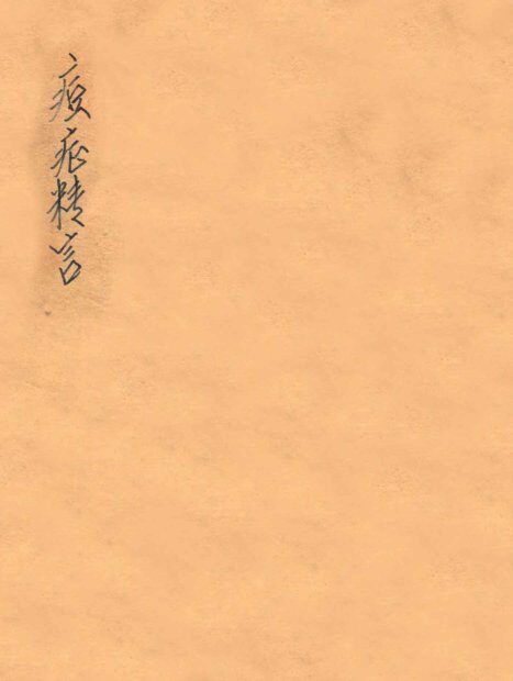 痘症精言  卷1-4 封面