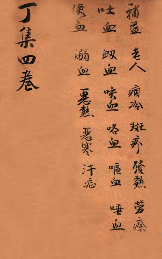寿世保元  丁集4卷 封面