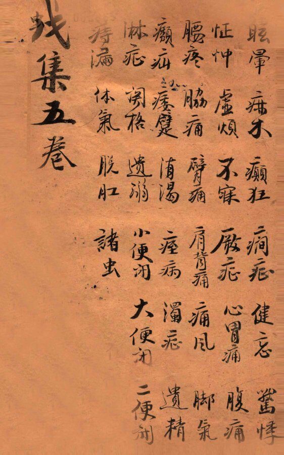 寿世保元  戊集5卷 封面