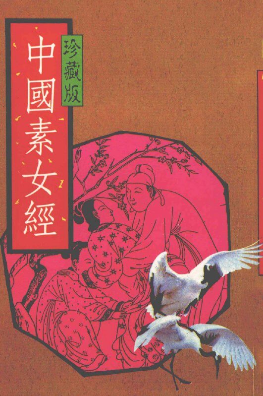 中国素女经  珍藏版 封面